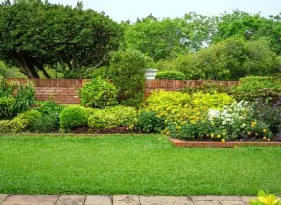 landscaping services Bellville